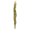 Vickerman H2CTW100 40-48" Basil Coco Palms - Twisted 6 Stems Dried