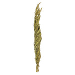 Vickerman H2CTW100 40-48" Basil Coco Palms - Twisted 6 Stems Dried