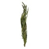Vickerman H2CTW150 40-48" Foliage Green Coco Palms - Twisted 6 Stems Dried
