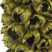 Vickerman H2GSW000 50 - 60