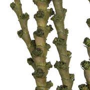 Vickerman H2LXL150 40-48