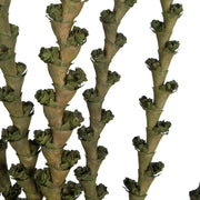 Vickerman H2LXL150 40-48
