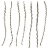 Vickerman H2LXL905 40-48" Light White Wash Ladder Branches - Xl Straight 7 Stems Dried