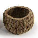Vickerman H2MAY000-1 3" Wide Natural Mayan Coconut 10 Per Pack Dried