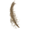 Vickerman H2MEM000 36-40" Natural Medusa Branch - Medium 1 Piece Dried