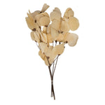 Vickerman H2MLT999 13.5-17" Bleached Dried Moneta Leaf On Twig Bundle Preserved.