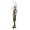 Vickerman H2MON100 35-40" Basil Moneta Branches 8 Oz Bundle Dried