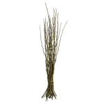 Vickerman H2MON100 35-40" Basil Moneta Branches 8 Oz Bundle Dried