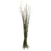 Vickerman H2MON150 35-40" Foliage Green Moneta Branches 8 Oz Bundle Dried