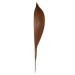 Vickerman H2PAS000-3 24-30" Natural Palm Paddle Set Of 3 Dried