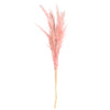 Vickerman H2PPS425-6 46" Preserved Salmon Pampas Grass 6 Pack. It Includes Two Stems. Recommended For Indoor.