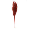 Vickerman H2PPS475-6 46" Dried Bordeaux Pampas Grass 6 Pack. It Includes Two Stems. Recommended For Indoor.