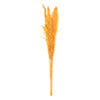 Vickerman H2PPS725-6 46" Dried Aspen Gold Pampas Grass 6 Pack. It Includes Two Stems. Recommended For Indoor.