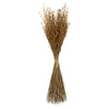 Vickerman H2PRC000-3 30" Natural Princess Grass 3 Per Pack Dried