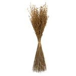 Vickerman H2PRC000-3 30" Natural Princess Grass 3 Per Pack Dried