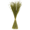 Vickerman H2PRC100-3 30" Basil Princess Grass. Comes In 21Oz (3 -7Oz Bundles) Dried