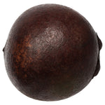 Vickerman H2QBB800 1-2" Brown Quinto Ball Vase Filler 50 Per Box Dried