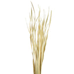 Vickerman H2RUS000 36-40" Natural Rush Grass 7 Oz Dried