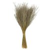 Vickerman H2SNO000-3 14-20" Natural Snowdrop Grass 3 Pack Dried