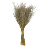 Vickerman H2SNO000-3 14-20" Natural Snowdrop Grass 3 Pack Dried
