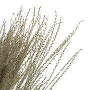 Vickerman H2SNO000-3 14-20