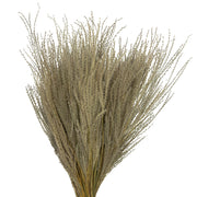 Vickerman H2SNO000-3 14-20