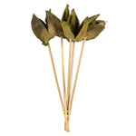 Vickerman H2SOR110 16" Light Basil Sora Pod Attached To A Wood Stem.  Includes 5 Stems Per Pack Dried
