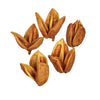 Vickerman H2SORB725-1 3-4" Aspen Gold Sora Pods Bulk Case 25 Per Case Dried