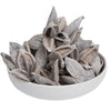 Vickerman H2SORB900 3-4" White Wash Sora Pod 250 Pieces Per Bulk Case Dried