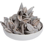 Vickerman H2SORB900 3-4" White Wash Sora Pod 250 Pieces Per Bulk Case Dried