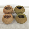 Vickerman H2SPL000-3 5" Natural Sapa Pod 3 Pack Dried