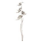 Vickerman H2SPS900 5-6' White Wash Star Pod Stalk 1 Stalk Dried