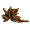 Vickerman H2STA725 6" Aspen Gold Star Pod 1 Piece Dried