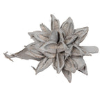 Vickerman H2STAX300 12-16" Gray Wash Star Pod Extra Large Dried