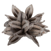 Vickerman H2STAX350 12-16