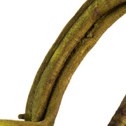 Vickerman H2TVB100 18-22