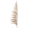 Vickerman H2UVA000 60-72" Natural Uva Palm Spray Standing Between 60 To 72 Inches Tall. Pack Of 10.