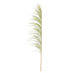 Vickerman H2UVA105 60-72" Basil Uva Palm Spray Standing Between 60 To 72 Inches Tall. Pack Of 10.