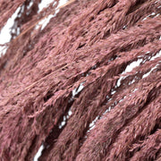 Vickerman H2UVA630 60-72