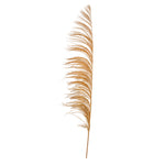 Vickerman H2UVA725 60-72" Aspen Gold Uva Palm Spray Standing Between 60 To 72 Inches Tall. Pack Of 10.
