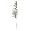 Vickerman H2UVA800 60-72" Mocha Uva Palm Spray Standing Between 60 To 72 Inches Tall. Pack Of 10.