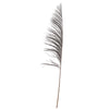Vickerman H2UVA817 60-72" Black Uva Palm Spray Standing Between 60 To 72 Inches Tall. Pack Of 10.