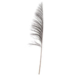 Vickerman H2UVA817 60-72" Black Uva Palm Spray Standing Between 60 To 72 Inches Tall. Pack Of 10.