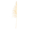 Vickerman H2UVA999 60-72" Bleached Uva Palm Spray Standing Between 60 To 72 Inches Tall. Pack Of 10.