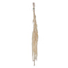 Vickerman H3AMA900 30" White Amaranthus Bundle Preserved