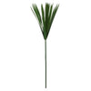 Vickerman H3PAPX150 24-30" Green Papyrus Xl 6 Stem Bunch Preserved