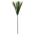 Vickerman H3PAPX150 24-30" Green Papyrus Xl 6 Stem Bunch Preserved