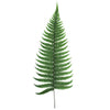 Vickerman H3PCH150 16-18" Fern Green Fern- Parchment 10 Stems Preserved