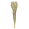 Vickerman H4AVE000 Natural Botanicals 24-26" Natural Dried Avena Oats 4 Oz Bunch