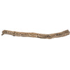 Vickerman H4CHO025 Cholla Natural 29-35" Piece Dried